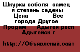 Шкурки соболя (самец) 1-я степень седены › Цена ­ 12 000 - Все города Другое » Продам   . Адыгея респ.,Адыгейск г.